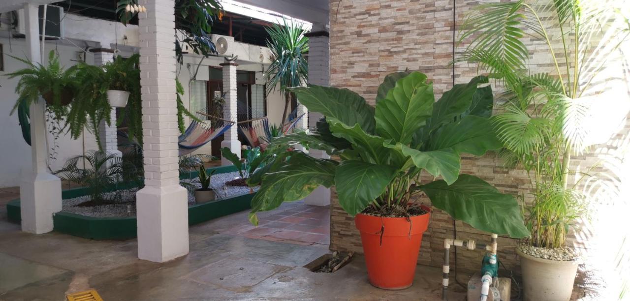 Hotel Aldea Pura Vida Puntarenas Extérieur photo