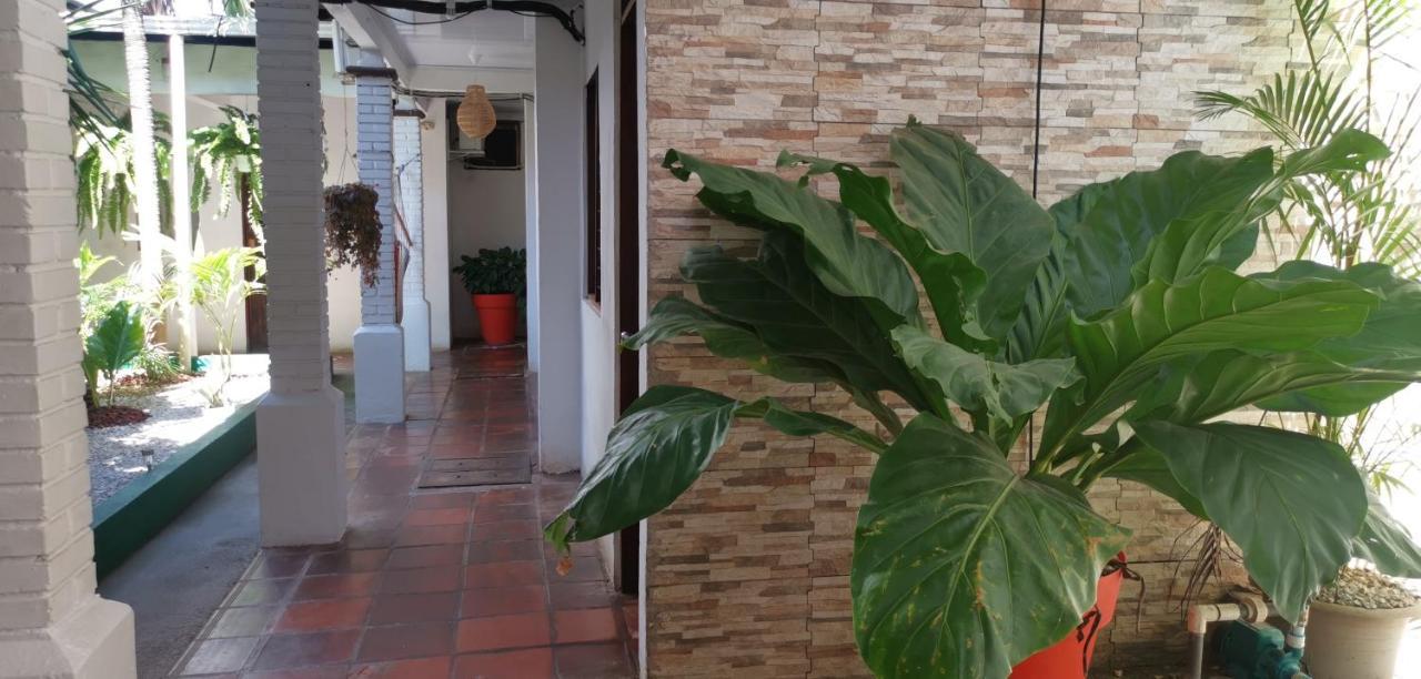 Hotel Aldea Pura Vida Puntarenas Extérieur photo